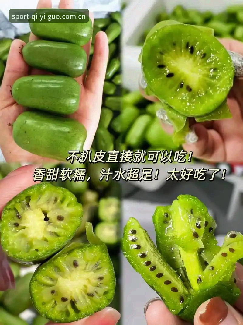 奇异果体育中文版官方首页操作教程：从下载到数据查阅的完整路径